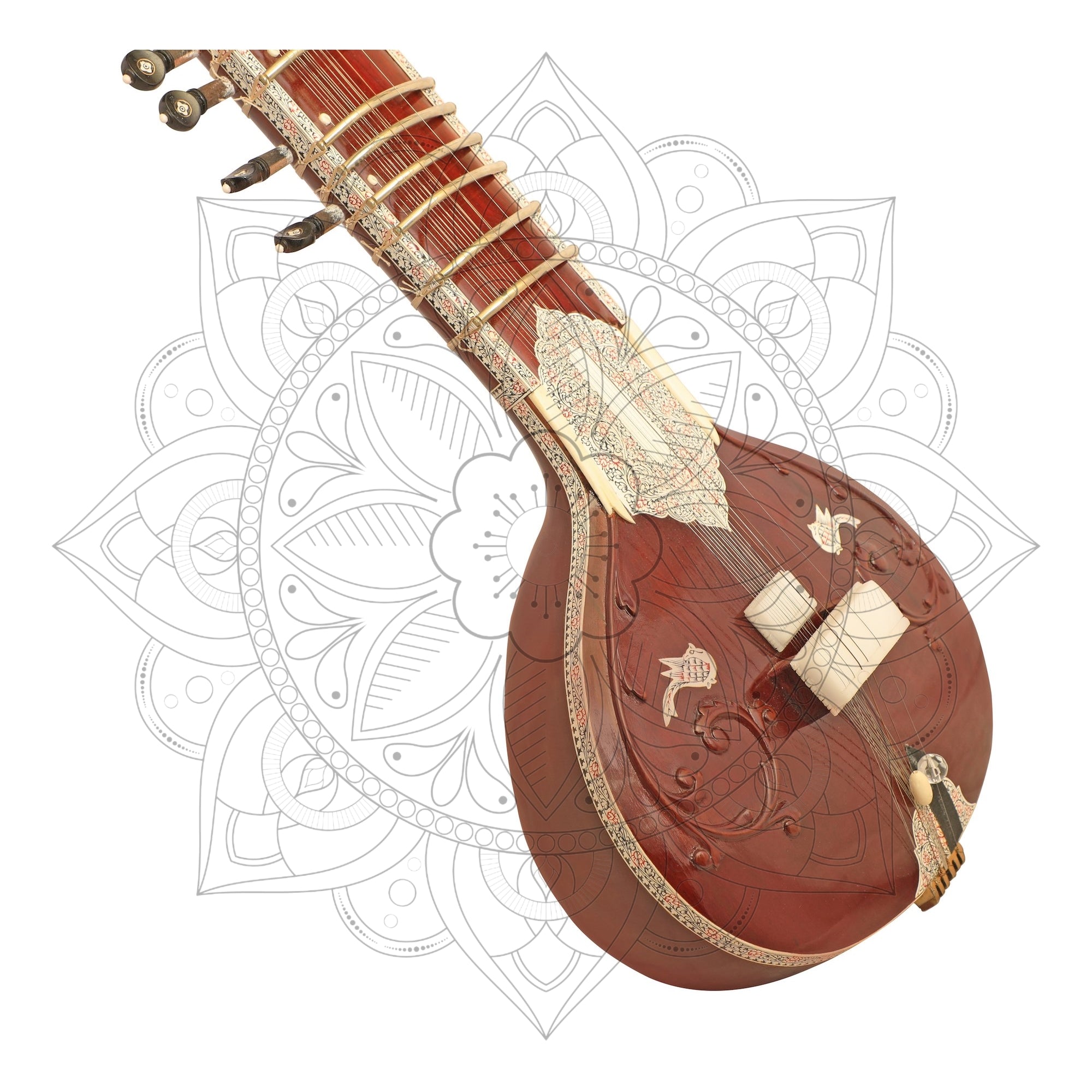 Ravi Shankar Sitar